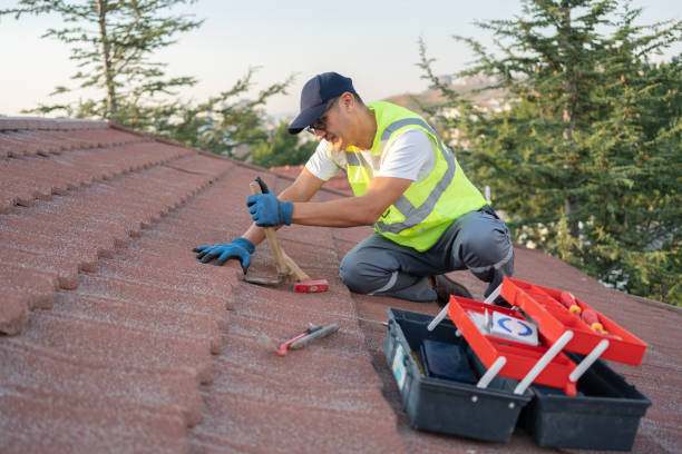 Best Roof Restoration Services  in Hlsboro, IL